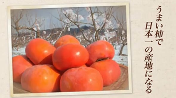 うまい柿で日本一の産地になる